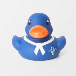 Scouts - Duck