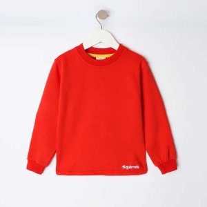 Squirrels - Sweater